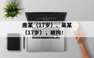 唐某（17岁）、吴某（17岁），被拘！