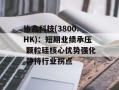 协鑫科技(3800.HK)：短期业绩承压 颗粒硅核心优势强化 静待行业拐点