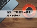 鹞子（了解鹞子的特点和飞行技巧）
