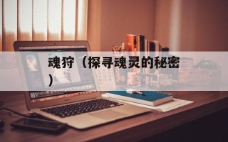 魂狩（探寻魂灵的秘密）
