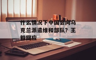什么情况下中国会向乌克兰派遣维和部队？王毅回应