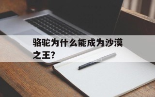 骆驼为什么能成为沙漠之王？