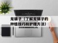 龙骧子（了解龙骧子的种植技巧和护理方法）
