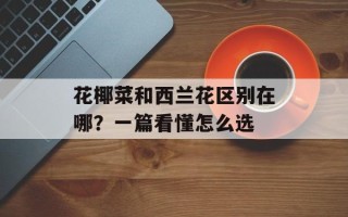 花椰菜和西兰花区别在哪？一篇看懂怎么选