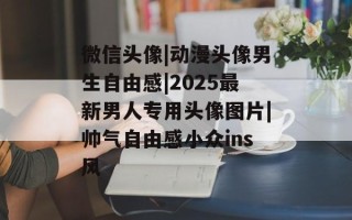 微信头像|动漫头像男生自由感|2025最新男人专用头像图片|帅气自由感小众ins风