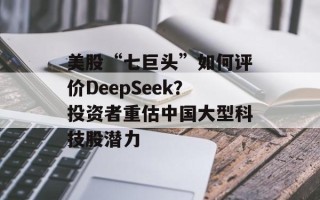 美股“七巨头”如何评价DeepSeek？投资者重估中国大型科技股潜力