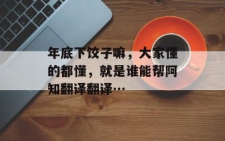 年底下饺子嘛，大家懂的都懂，就是谁能帮阿知翻译翻译…
