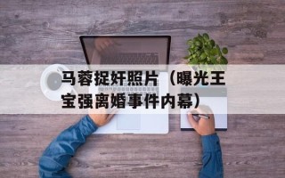 马蓉捉奸照片（曝光王宝强离婚事件内幕）