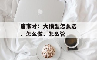 唐家才：大模型怎么选、怎么做、怎么管