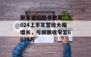 聚水潭招股书披露：2024上半年营收大幅增长，亏损额收窄至6034万