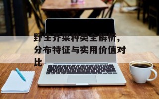 野生芥菜种类全解析,分布特征与实用价值对比