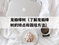龙脑樟树（了解龙脑樟树的特点和栽培方法）