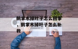 鹅掌木掉叶子怎么回事，鹅掌木掉叶子怎么补救