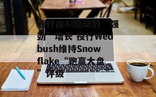 看好由AI驱动的“强劲”增长 投行Wedbush维持Snowflake“跑赢大盘”评级