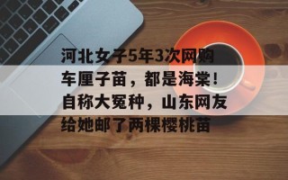 河北女子5年3次网购车厘子苗，都是海棠！自称大冤种，山东网友给她邮了两棵樱桃苗