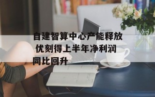自建智算中心产能释放 优刻得上半年净利润同比回升