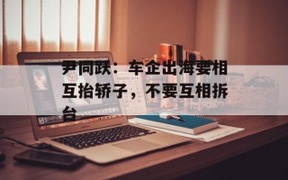 尹同跃：车企出海要相互抬轿子，不要互相拆台