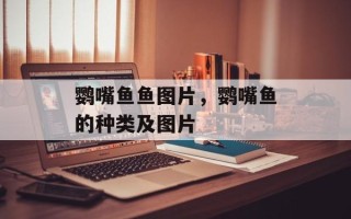 鹦嘴鱼鱼图片，鹦嘴鱼的种类及图片