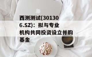 西测测试(301306.SZ)：拟与专业机构共同投资设立并购基金