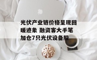 光伏产业链价格呈现回暖迹象 融资客大手笔加仓7只光伏设备股