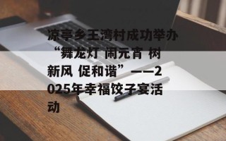 凉亭乡王湾村成功举办“舞龙灯 闹元宵 树新风 促和谐”——2025年幸福饺子宴活动