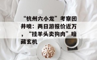 “杭州六小龙”考察团井喷：两日游报价近万，“挂羊头卖狗肉”暗藏玄机
