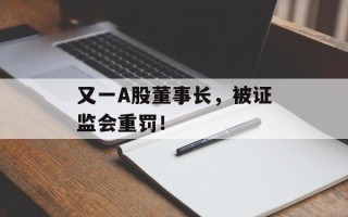 又一A股董事长，被证监会重罚！