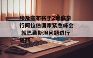 埃及宣布将于2月底举行阿拉伯国家紧急峰会 就巴勒斯坦问题进行磋商