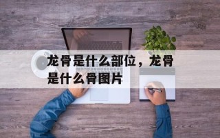 龙骨是什么部位，龙骨是什么骨图片