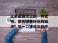 玉米是最常见的一种食物，都有哪些好吃的做法？每一口都是幸福感