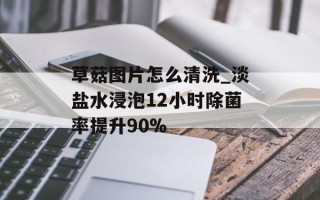 草菇图片怎么清洗_淡盐水浸泡12小时除菌率提升90%