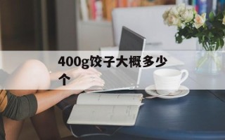 400g饺子大概多少个