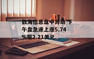 数海信息盘中异动 下午盘急速上涨5.74%报2.21美元