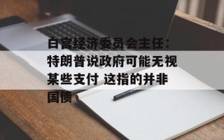 白宫经济委员会主任：特朗普说政府可能无视某些支付 这指的并非国债