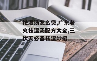 祛湿汤怎么煲,广东老火祛湿汤配方大全,三伏天必备祛湿妙招