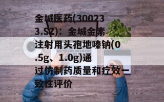 金城医药(300233.SZ)：金城金素注射用头孢地嗪钠(0.5g、1.0g)通过仿制药质量和疗效一致性评价