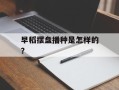 早稻摆盘播种是怎样的？