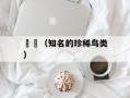 鵷鶵（知名的珍稀鸟类）