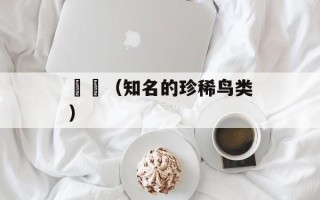 鵷鶵（知名的珍稀鸟类）