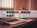 黄桃的外形，黄桃的外形描写