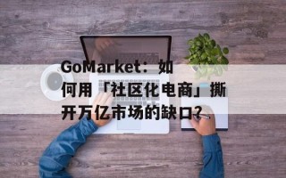 GoMarket：如何用「社区化电商」撕开万亿市场的缺口？