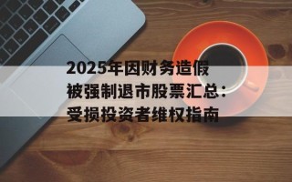 2025年因财务造假被强制退市股票汇总：受损投资者维权指南