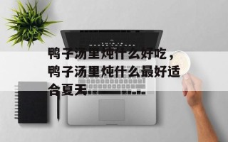 鸭子汤里炖什么好吃，鸭子汤里炖什么最好适合夏天