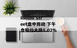 Rimini Street盘中异动 下午盘股价大跌5.02%