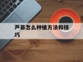 芦荟怎么种植方法和技巧