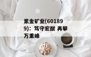 紫金矿业(601899)：笃守宏猷 再攀万重峰