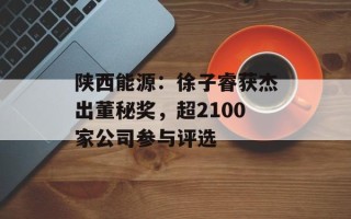 陕西能源：徐子睿获杰出董秘奖，超2100家公司参与评选