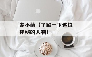龙小菌（了解一下这位神秘的人物）