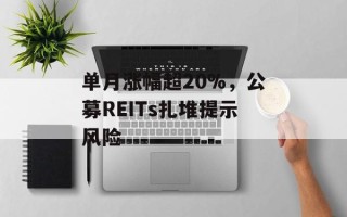单月涨幅超20%，公募REITs扎堆提示风险