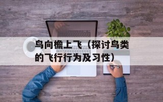 鸟向檐上飞（探讨鸟类的飞行行为及习性）